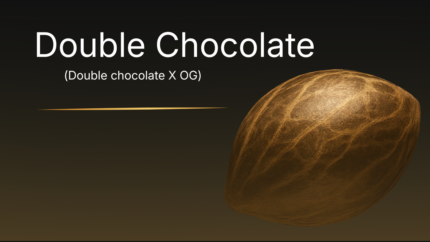 Double Chocolate collectible cannabis seed – close-up of premium Canadian genetics by VaultSeeds, smooth brown botanical seed with natural veining, not for cultivation.