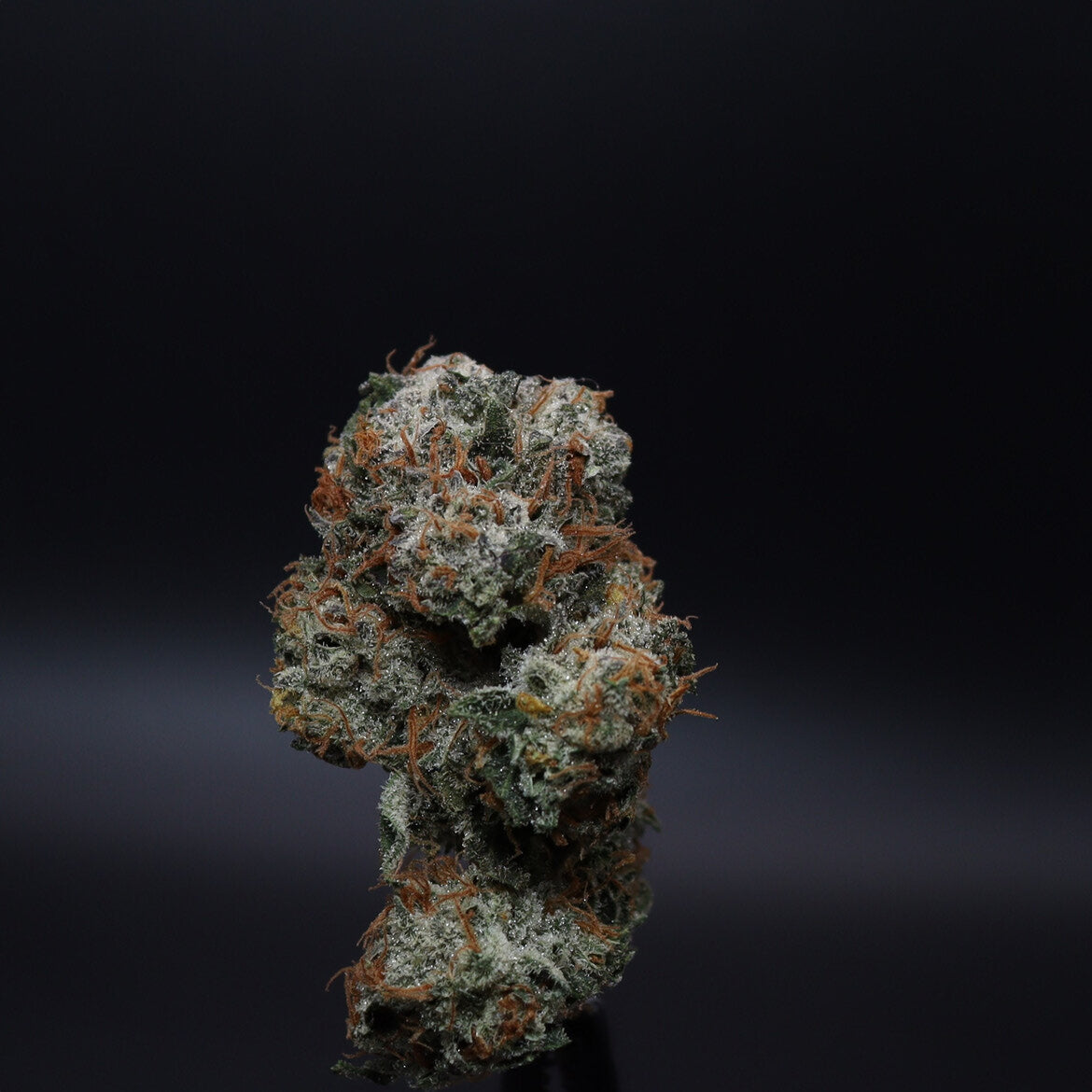 Garlic Cookies (Cookies X Garlic OG)