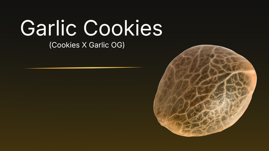 Garlic Cookies (Cookies X Garlic OG)