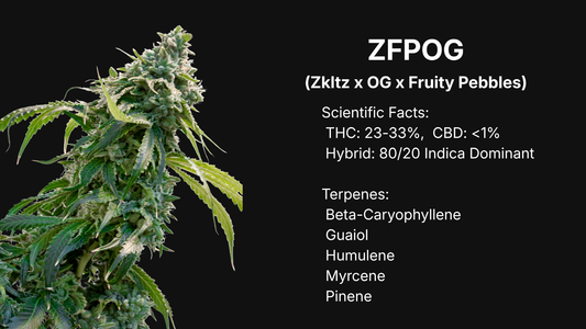 ZFPOG strain profile image showing a large frosty cannabis flower with detailed scientific facts and terpene list, premium Canadian collectible genetics by VaultSeeds, not for cultivation.